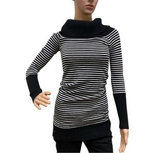 Bcbgmaxazria Stripe Turtle Neck Sweater